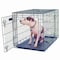 Pet Adobe Pet Adobe Large 2 Door Foldable Dog Crate Cage - 36 x 23 Inch 891215ICV - alternate 1